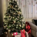IT’S THE MOST WONDERFUL TIME OF THE YEAR